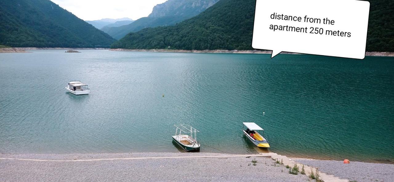 Apartment Holiday Lake - Piva 2022 Pluzine Bagian luar foto