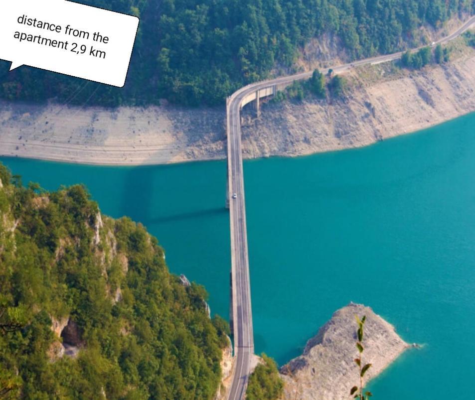 Apartment Holiday Lake - Piva 2022 Pluzine Bagian luar foto